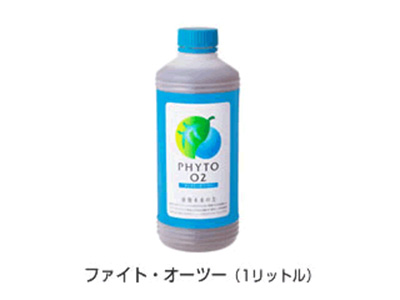 ファイトシリーズについて