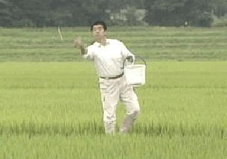 7月 木酢液などの散布