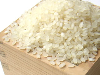 生産ポリシー
